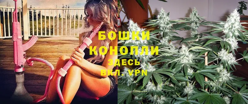 Бошки Шишки THC 21%  Данилов 